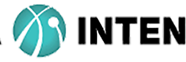 Data Intensity Logo